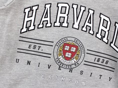 Name It sweatshirt grey melange harvard university
